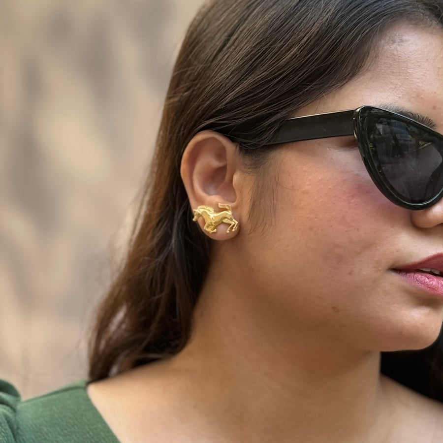 Chetak studs