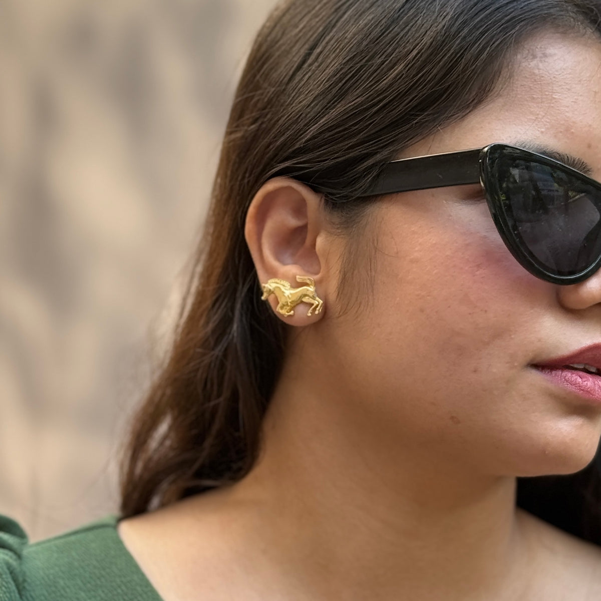 Chetak studs
