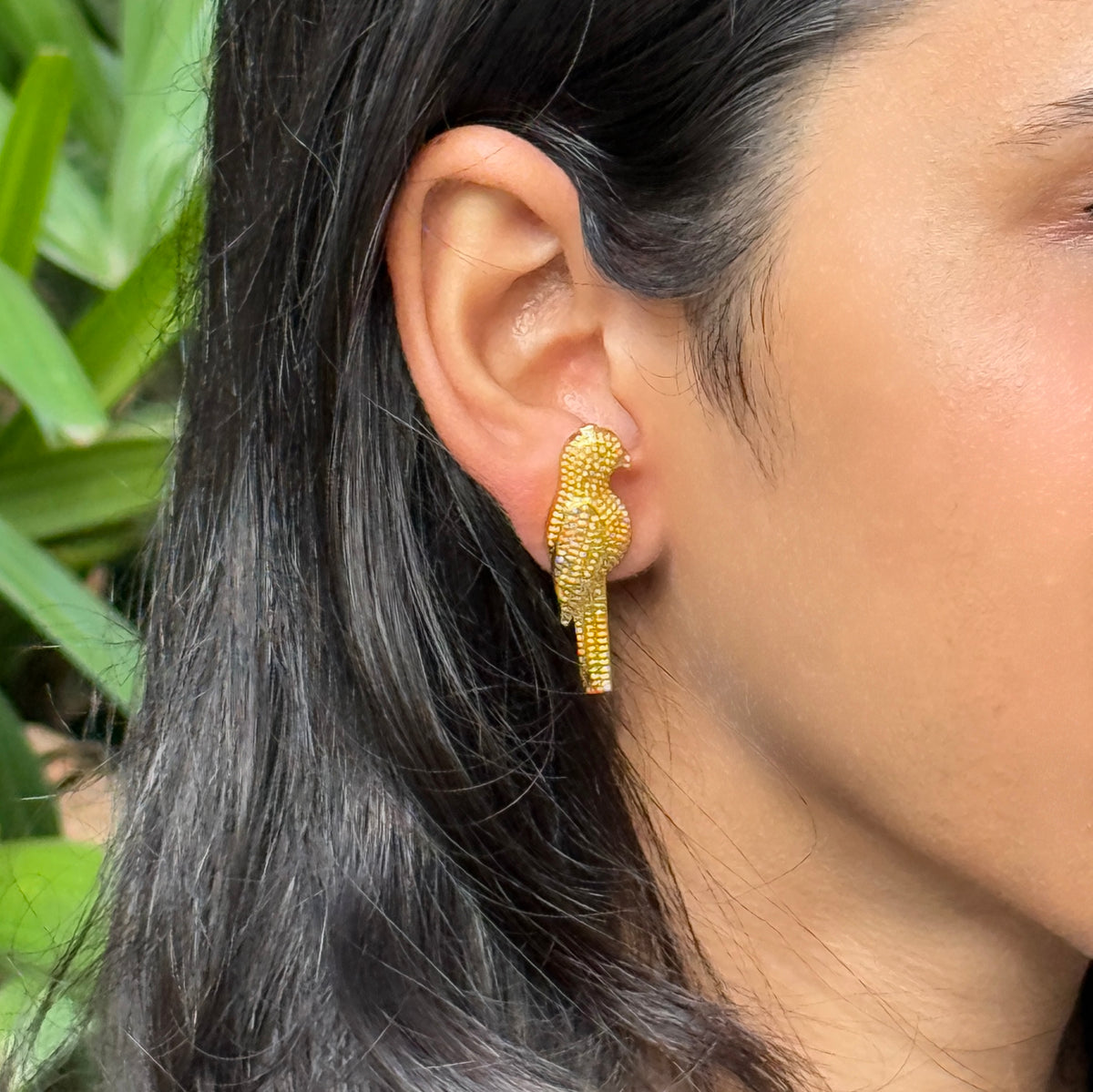 Parrot studs